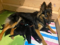 Mama Miley 1 Woche