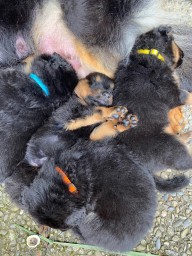 Tag 30 Kuscheln