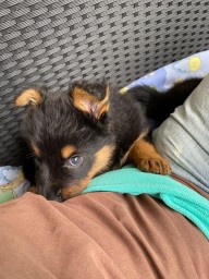 Tag 44 Blau