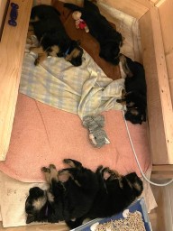 Tag 33 müde nach dem Ausflug