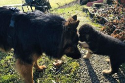 Tag 36 grosser Bruder auf Besuch