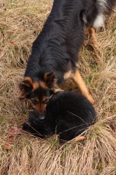 Tag 49 Erziehung muss sein