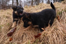 Tag 49 spielen unterwegs