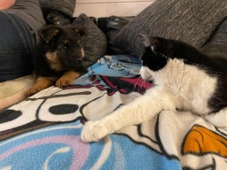 Tag 50 wer ist denn das?