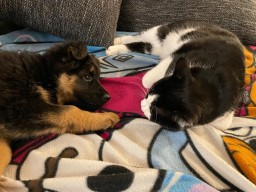 Tag 50 ganz entspannt