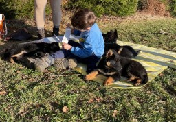 Tag 59 Picknick am Waldrand