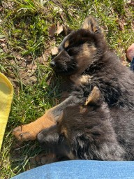 Tag 59 dösen an der Sonne