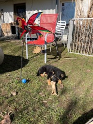 Tag 60 das Leben ist schön