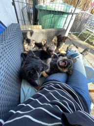 Tag 60 letzte Tage alle zusammen